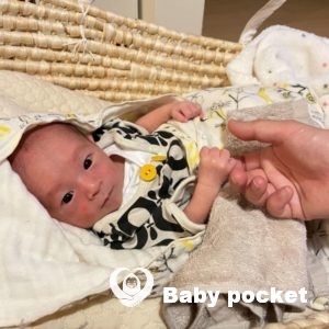 ヴァロくんをお迎えしました