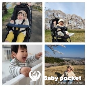 ☆ココアくん入籍のご報告☆