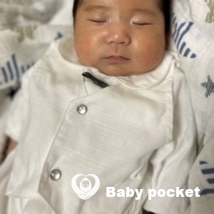 ドルフィンくん お宮参りと予防接種のご報告