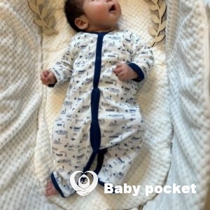 ドルフィンくん お宮参りと予防接種のご報告