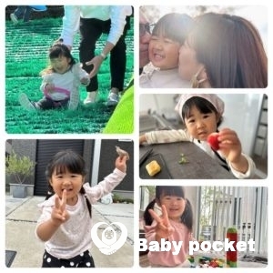 オリーブちゃん2歳半&保育園入園のご報告
