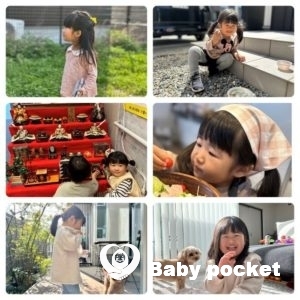 オリーブちゃん2歳半&保育園入園のご報告