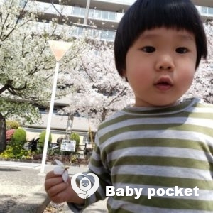 ルターくんが2歳1ヶ月になりました。