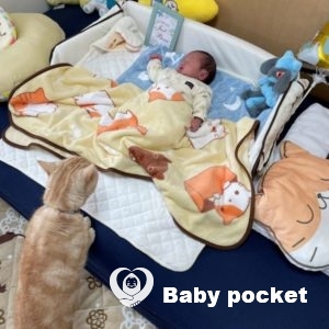 愛しいニコル君をお迎えしました!!