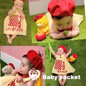 レモンイエローちゃん お宮参り、ハーフバースデーのご報告