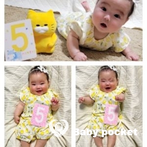 レモンイエローちゃん お宮参り、ハーフバースデーのご報告