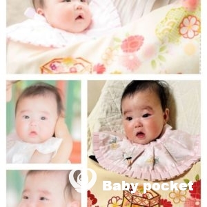 レモンイエローちゃん お宮参り、ハーフバースデーのご報告