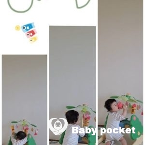 せんかちゃん10ヶ月のご報告