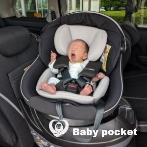 イナリくんをお迎えしました