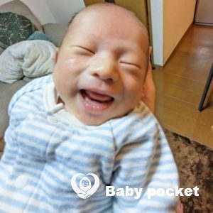 イナリくんをお迎えしました