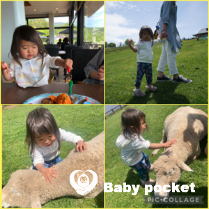 いなさちゃん2歳、かみあり君4歳半になりました