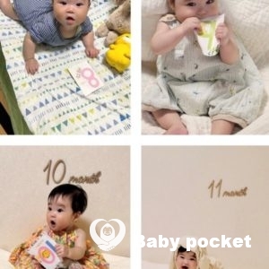 レモンイエローちゃん入籍のご報告