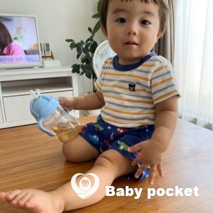 こむぎ君1歳6か月のご報告