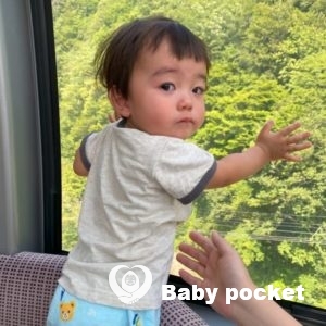 こむぎ君1歳6か月のご報告