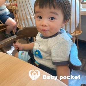 こむぎ君1歳6か月のご報告