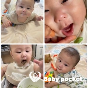 ニコル君、ハーフバースデーのご報告