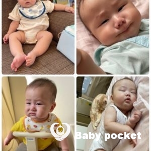 ニコル君、ハーフバースデーのご報告