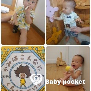 コッカーくん1歳半を迎えました