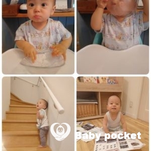 コッカーくん1歳半を迎えました