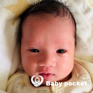 ぽぽちゃんをお迎えしました☆