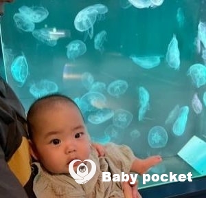 かるむちゃん、生後9カ月のご報告