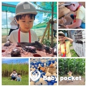 ようすけ君⭐4歳になりました!