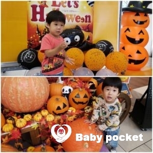 ルターくんが2歳7ヶ月になりました。