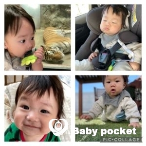 チルくん⭐︎入籍しました