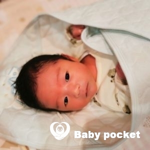 景虎くんをお迎えしました☆