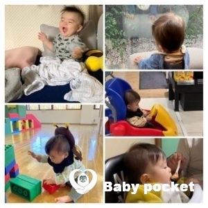 ヴィヒタくん 入籍と近況のご報告