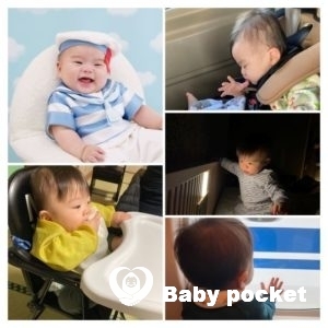 ヴィヒタくん 入籍と近況のご報告