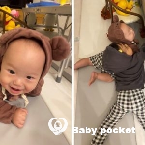 アリーシアくん入籍のご報告