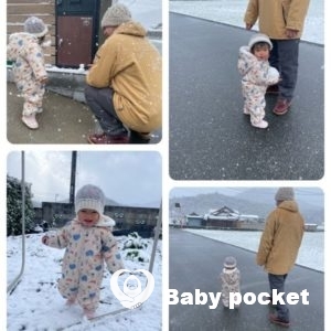 ホルンフェルスちゃん1歳半になりました♡