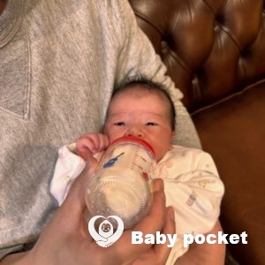 NORAMEくんをお迎えしました