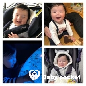 ウタ君がハーフバースデーを迎えました