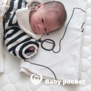 ぽかぽかくんをお迎えしました!