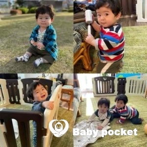 ユッカくん入籍