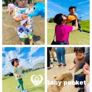 セキセイ君2歳になりました。