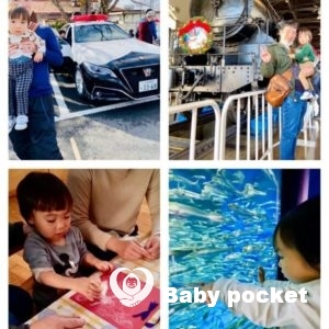 セキセイ君2歳になりました。