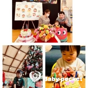 セキセイ君2歳になりました。