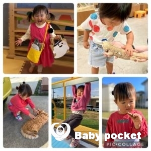 しらほしちゃん2歳6か月のご報告