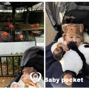 ハーフバースデーを迎えました