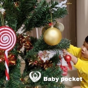 ルターくんが2歳9ヶ月になりました。