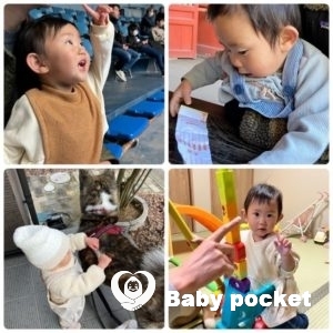 マラサダちゃん1歳5ヶ月になりました