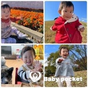 マラサダちゃん1歳5ヶ月になりました