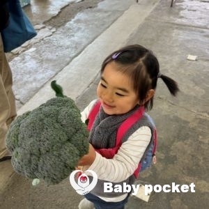 翡翠ちゃん☆2歳5ヶ月