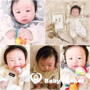 猫之助くん お宮参り&生後100日のご報告