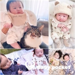 猫之助くん お宮参り&生後100日のご報告