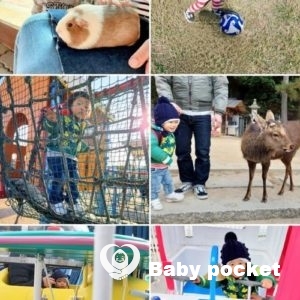 ☺️スマイリー君2歳☺️