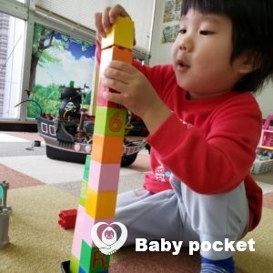 ルターくんが2歳10ヶ月になりました。